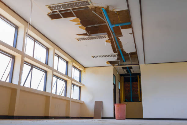 Best Ceiling water damage repair  in Pinetop Country Clu, AZ