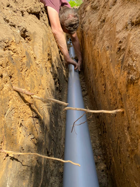 Best Flood damage cleanup  in Pinetop Country Clu, AZ