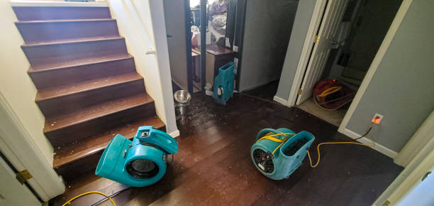 Best Commercial water damage restoration  in Pinetop Country Clu, AZ