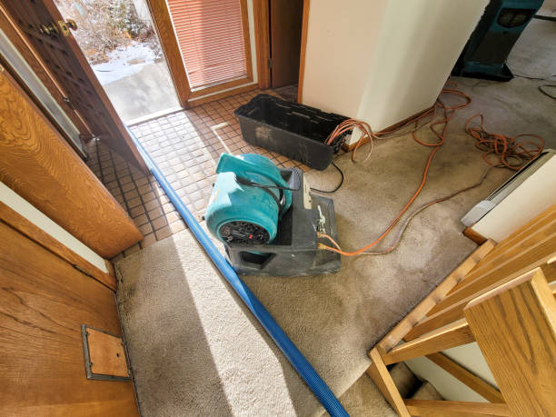 Best Water damage contractors near me  in Pinetop Country Clu, AZ