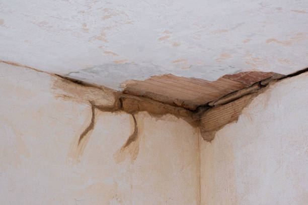 Best Basement water damage restoration  in Pinetop Country Clu, AZ