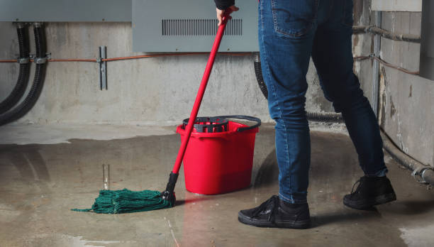 Best Water damage restoration near me  in Pinetop Country Clu, AZ