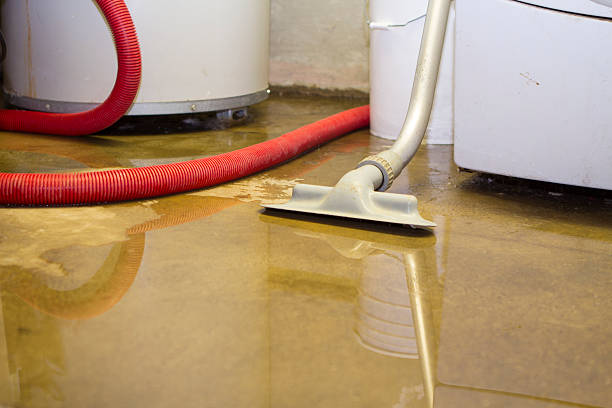 Best Water damage restoration services  in Pinetop Country Clu, AZ