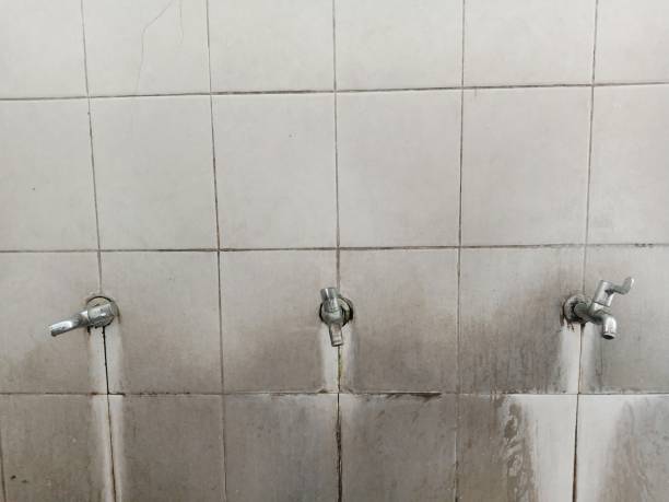 Best Residential water damage restoration  in Pinetop Country Clu, AZ