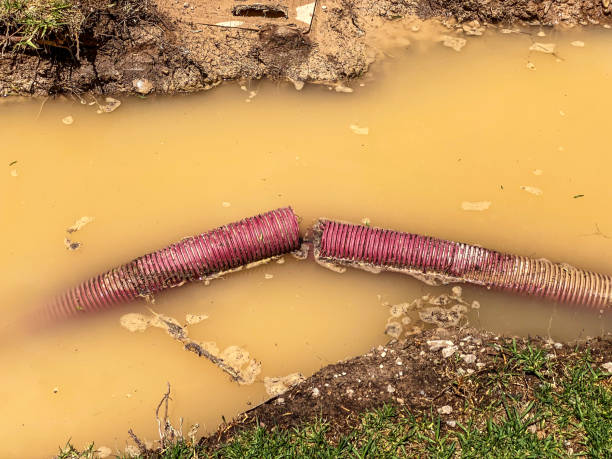 Best Professional water damage repair  in Pinetop Country Clu, AZ