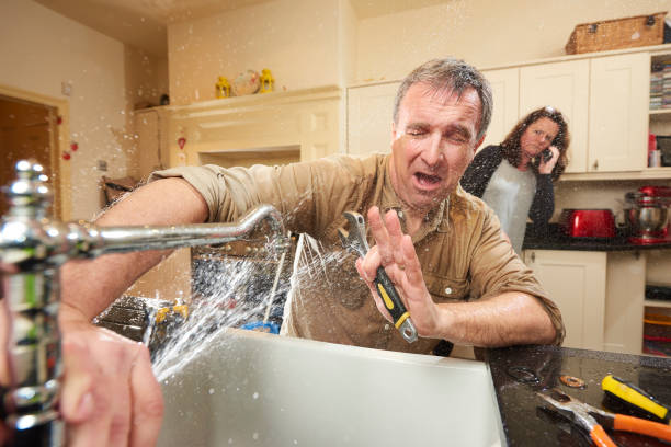 Best Mold removal after water damage  in Pinetop Country Clu, AZ